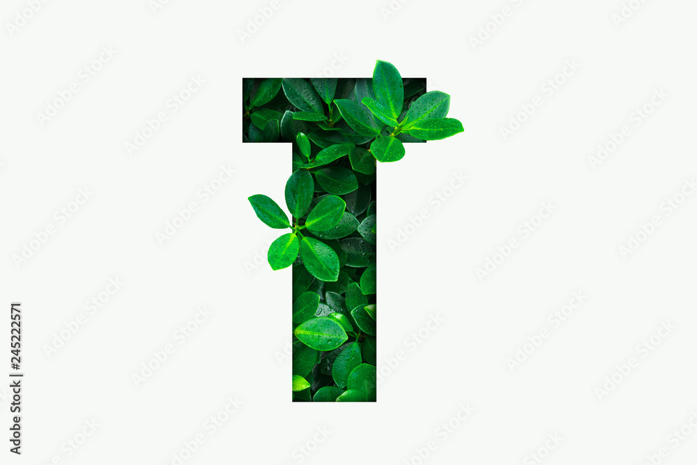 Nature concept alphabet of green leaves in alphabet letter T Nature concept alphabet of green leaves in alphabet letter T
