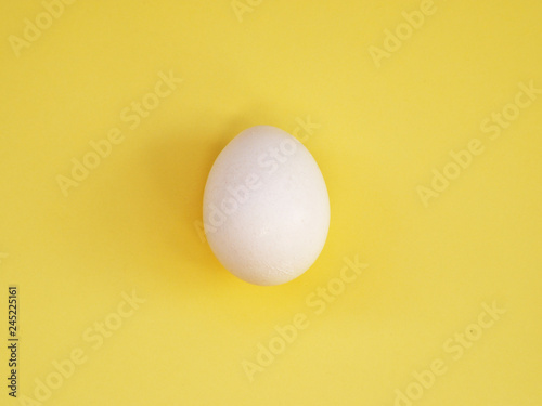 one chicken egg on a yellow background.