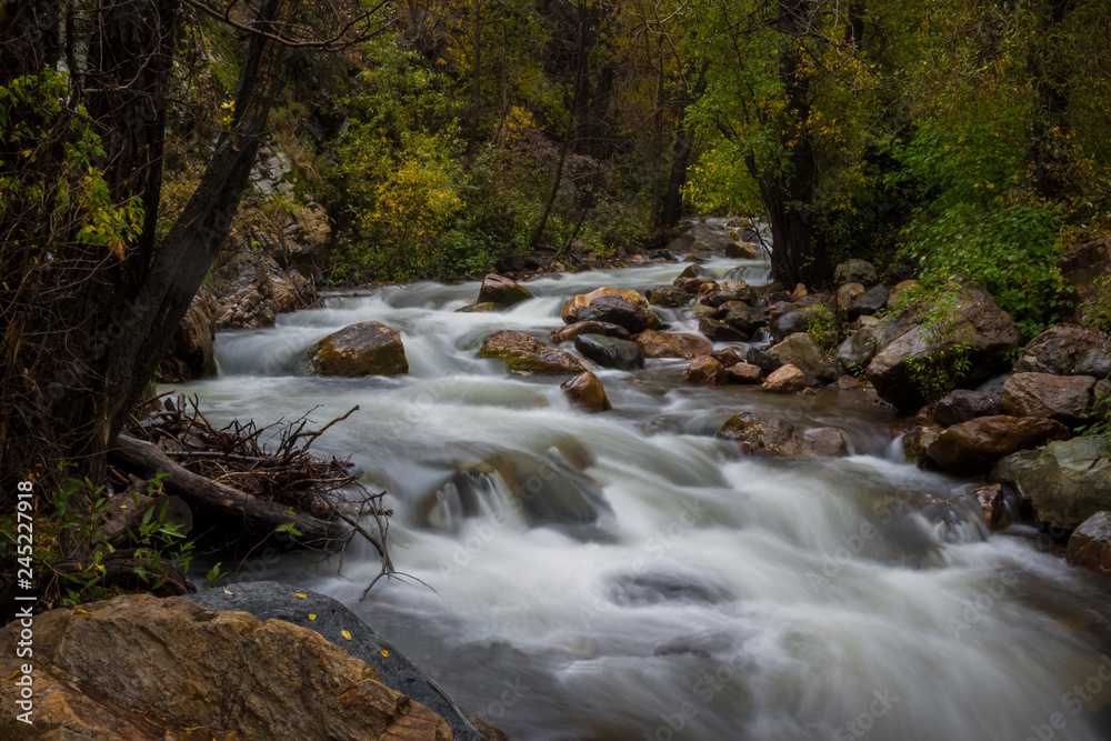 River Flow up Little Cottonwood Canyon 