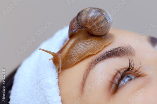 Cosmetological procedure. Beautiful young woman with a snail ahatin on her face in a beauty salon. photo