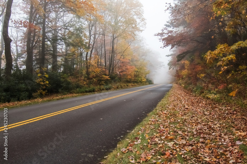 Foggy Drive on the Parkway