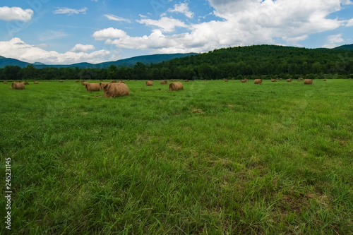 Hay Field in North Carolina © Agent007
