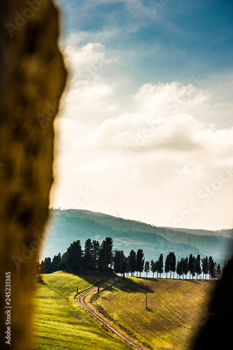 landscape with trees and clouds