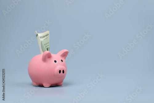 Piggy bank on gray background