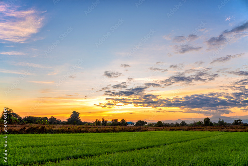 Green rice fields with sun set over the mountain in the evening, countryside of Thailand