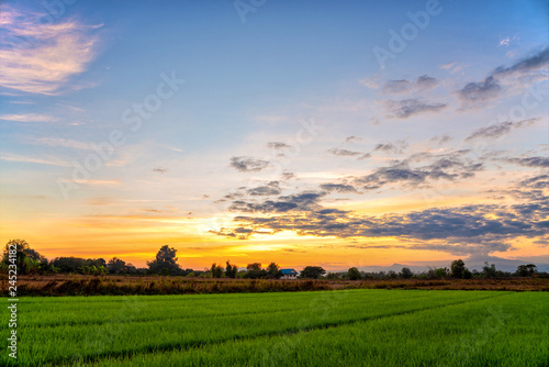 Green rice fields with sun set over the mountain in the evening  countryside of Thailand