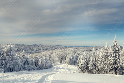 Winter in the mountains with snow-covered trees. © rzoze19