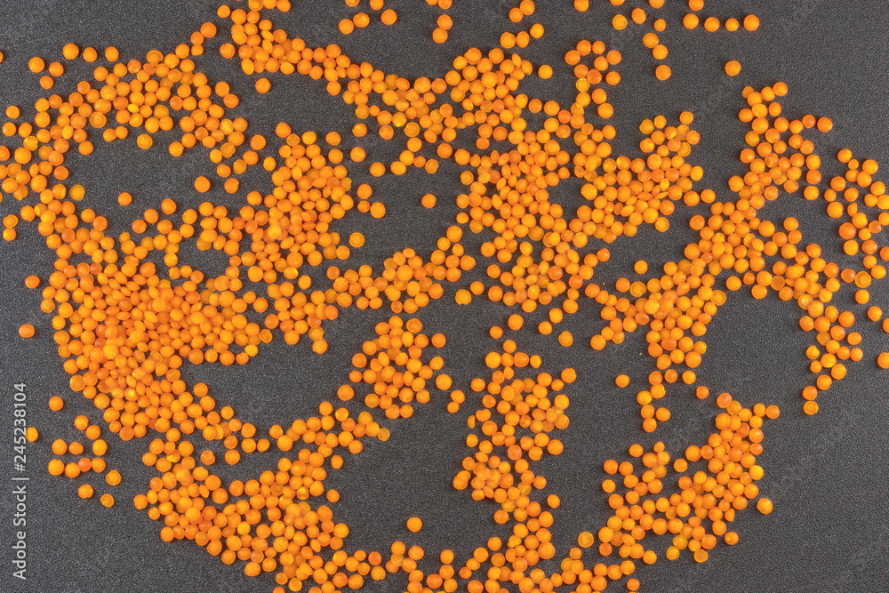 orange lentils on grey background / lentil grains scattered on textured background orange lentils on grey background / lentil grains scattered on textured background