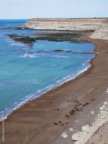 Obraz na płótnie The atlantic ocean coastline along Peninsula Valdes w salonie