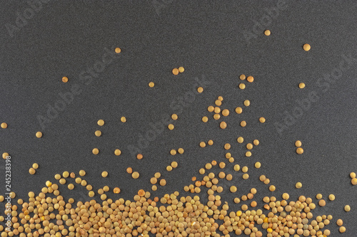  lentils on grey background / lentil grains scattered on textured background