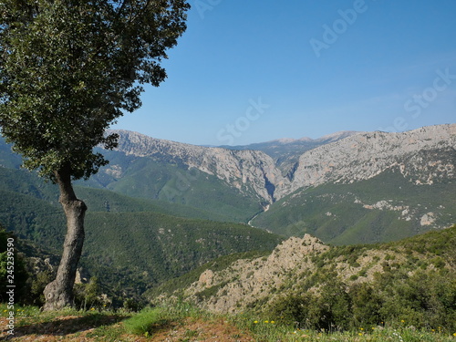 Supramonte and the gorge of Su Gorropu, Sardinia Italy