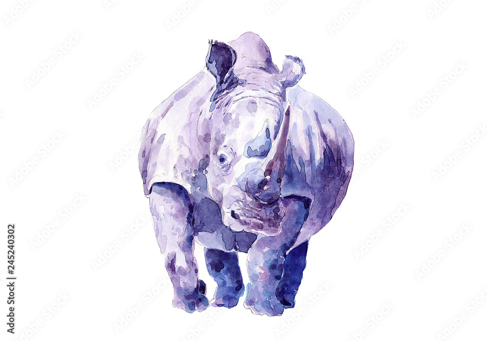 Naklejka premium Samotny nosorożec. Rysowanie akwarelą.
