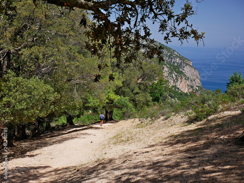 Obraz na płótnie The hiking path to Cala Goloritze and Aguglia, Sardinia w salonie