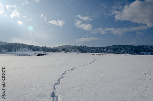 Winter landscape and blue sky.Footprints in the snow
