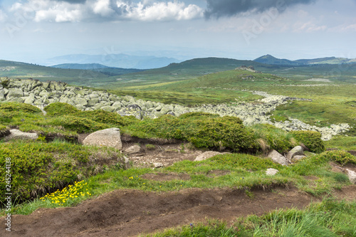 Landscape with green hills of Vitosha Mountain near Cherni Vrah Peak, Sofia City Region, Bulgaria