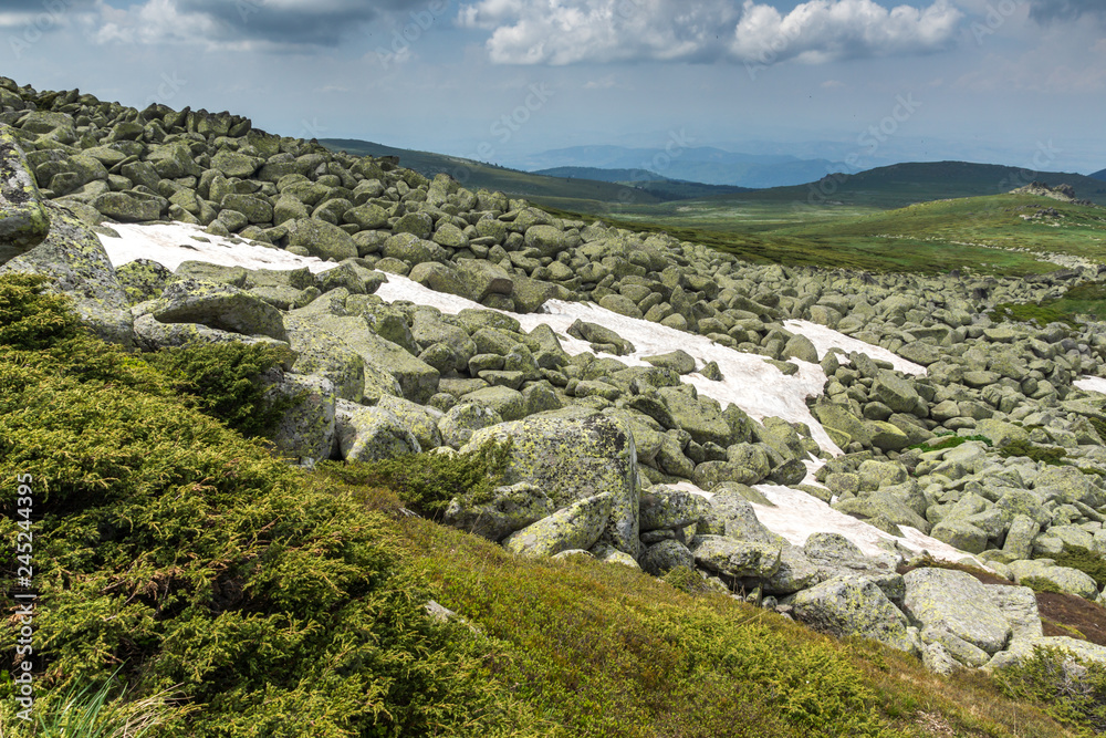 Fototapeta premium Landscape with green hills of Vitosha Mountain near Cherni Vrah Peak, Sofia City Region, Bulgaria