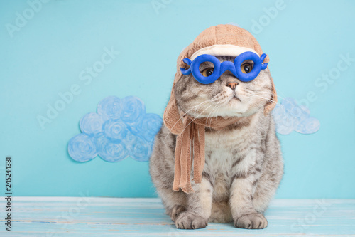 Very funny cat pilot of an airplane with glasses and a pilot's hat, against a background of clouds. A concept of funny and funny animals © Anton