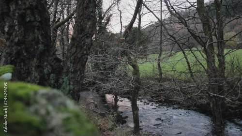 Static shot of a river flowing in a forest with a reflection of an orange sunset