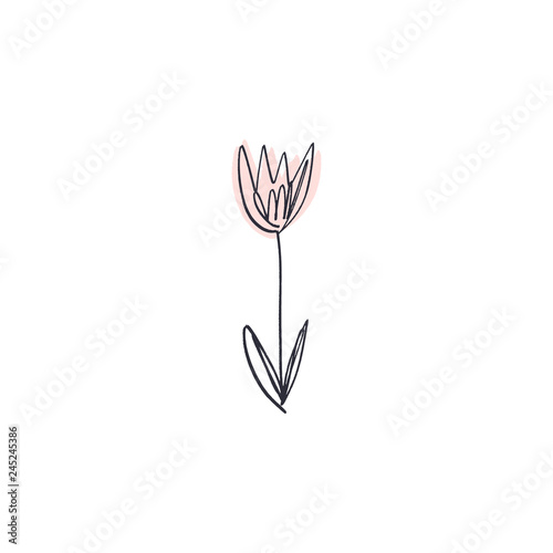 Minimalist contour flower drawing. One line art