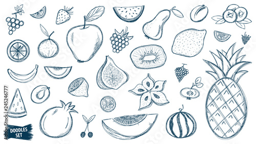 Fruits doodles set. Tropical fruit. Summer. Berry. Scribble collection. Quirky sketches. Grape. Blueberry. Carambola. Watermelon. Pineapple. Strawberry. Figs. Pear. Kiwi. Melon. Citrus. Smoothie.