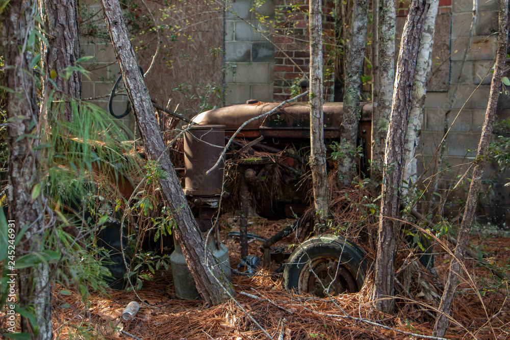 Rusty old cars Rusty old cars