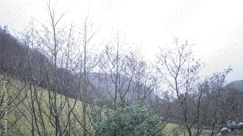 Panning shot of a river reflecting a tree during a bright day