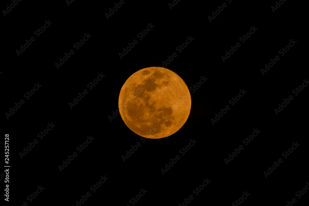 Fototapeta premium luna llena