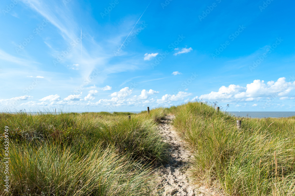 Small path through sand dunes on the beach