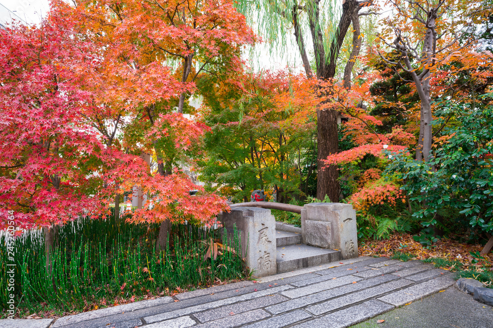 Naklejka premium 京都 晴明神社の一条戻橋と紅葉