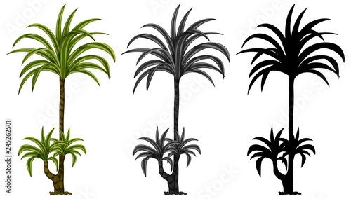 Set of plant design