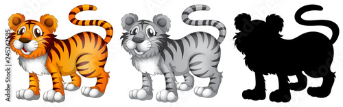Set of tiger character