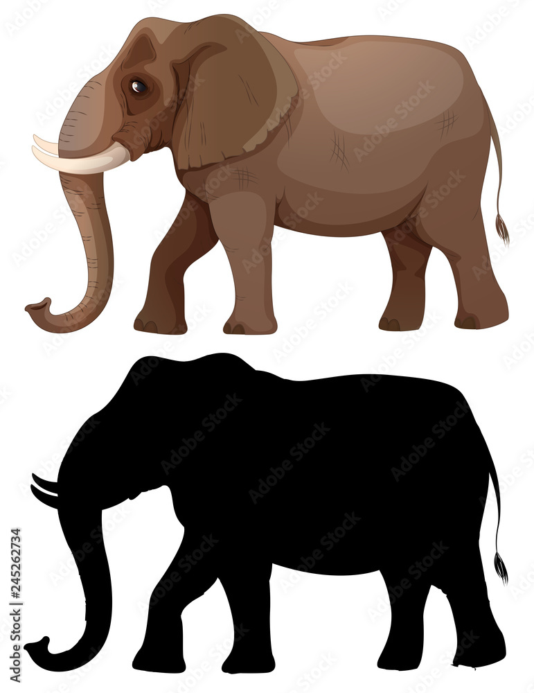 Set of elephant character