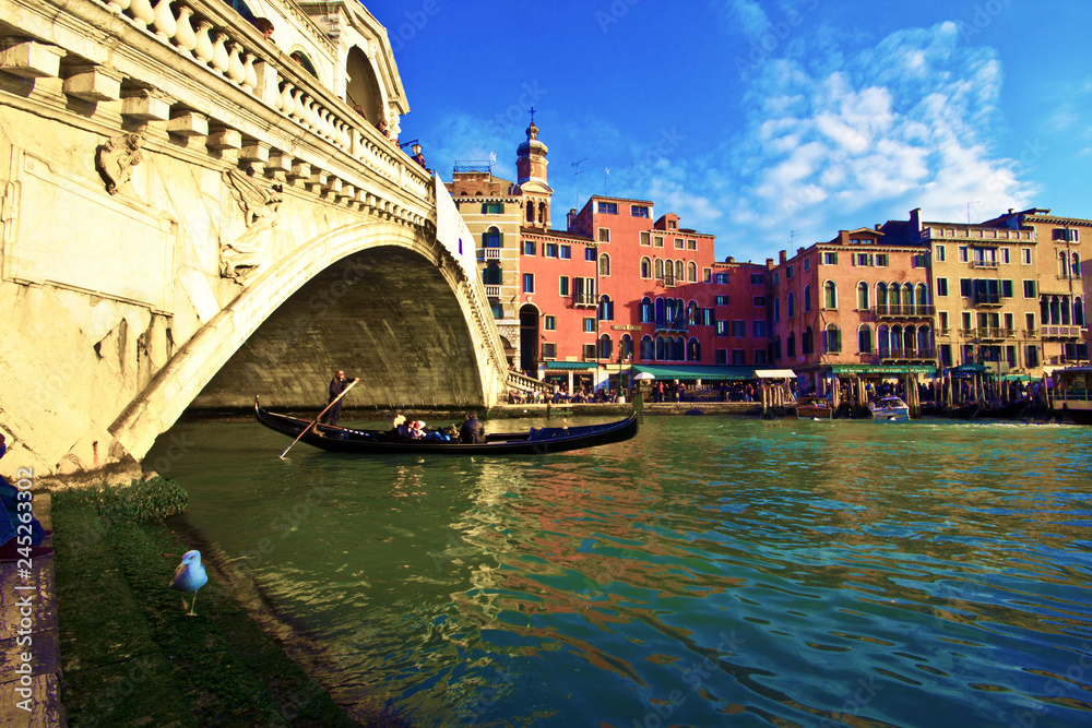 Rialto Bridge in Venice Italy by Skip Weeks
