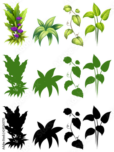 Set of plant design