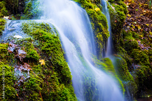 Moss and Waterfall by Skip Weeks