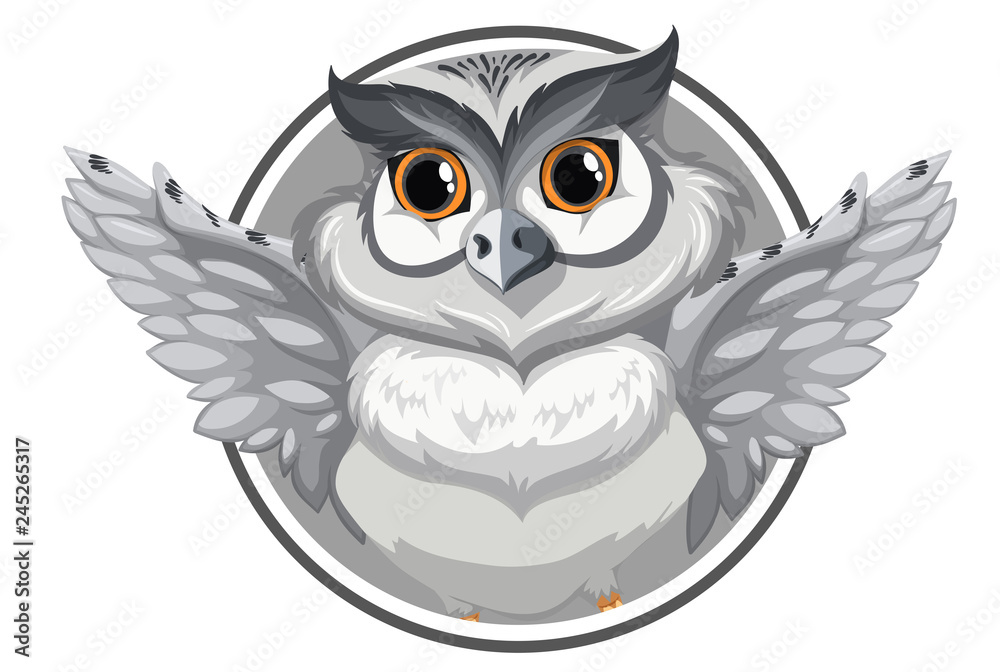 Obraz premium A grey owl banner