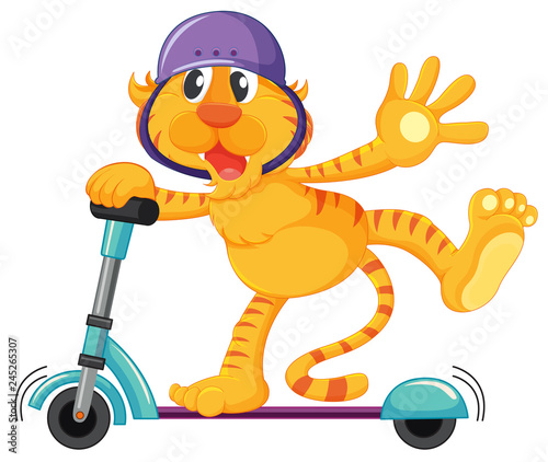 Tiger playing kick scooter