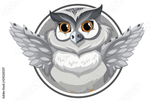Fototapeta Naklejka Na Ścianę i Meble -  A grey owl banner