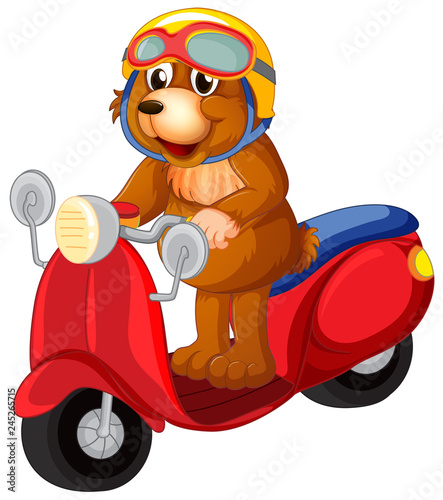 A bear riding scooter