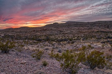 Leinwandbilder Lavendelfarbene Motive Big Bend National Park is located in Far South Texas on the Mexican Border  © Jacob