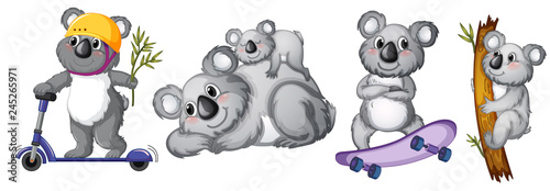 Set of koala bear character