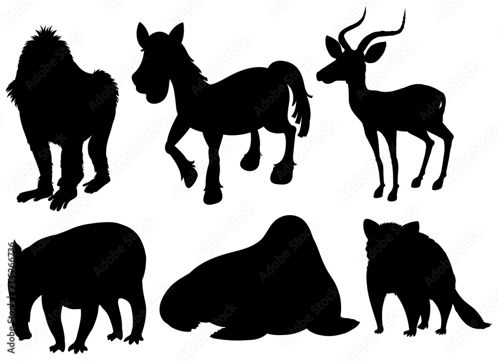Fototapeta premium Set of illustration exotic animals