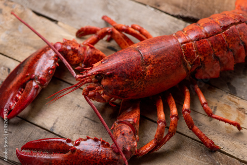 whole lobster on wood table