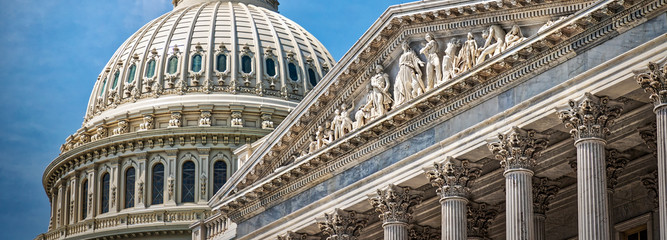 US Capitol 10 (Banner)