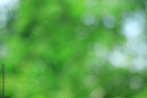 abstract nature green bokeh background.