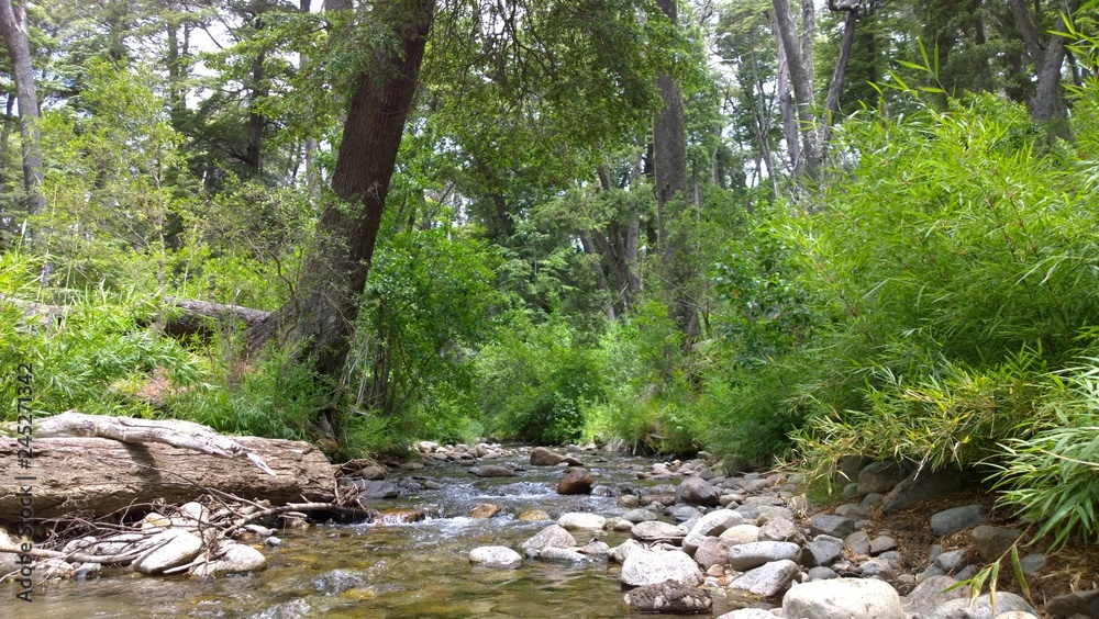 Obraz premium Patagonia.