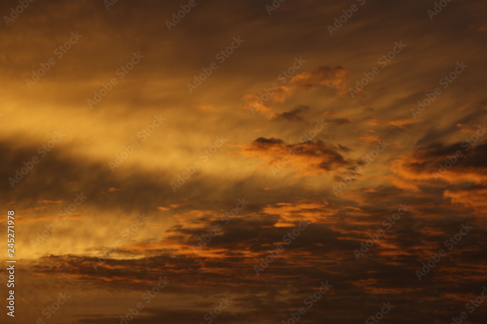 Obraz premium SONY DSC