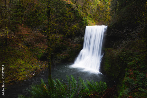 Waterfall Flowing in the Green Forest with Moss