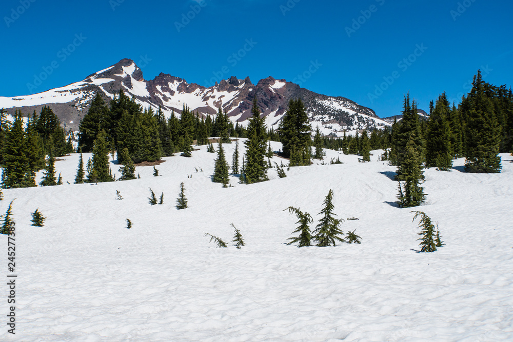 Fototapeta premium Trail to Broken Top in snowy Oregon