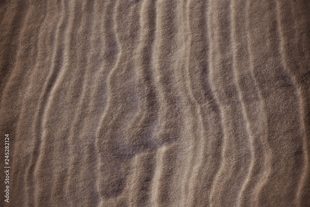 Fototapeta premium Sand, cold desert.